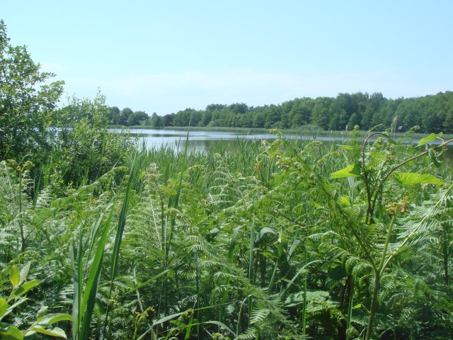 Kolpinsee